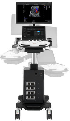 購入 4つのトランスデューサーのコネクターを持つ5DトロリーSonoscapeのエコー機械P11エリート online manufacture