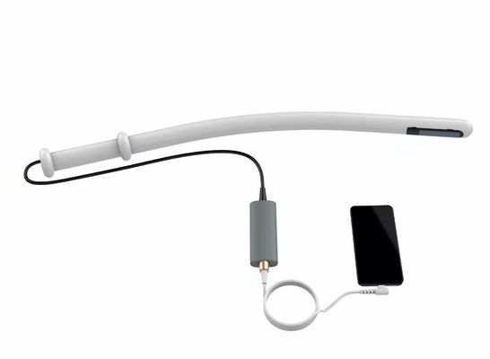 購入 獣医の超音波システム牛のような超音波機械4.0MHz 6.0MHz 8.0MHz online manufacture