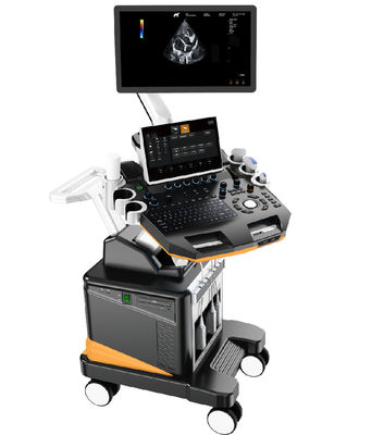 購入 3D/4D カラードップラー獣医用超音波装置 21.5 インチ LCD 付きプロフェッショナル小動物イメージング システム online manufacture