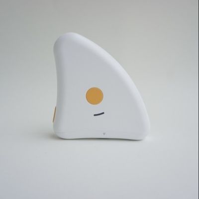 購入 ポータブル超音波体脂肪スキャナー 5MHz 筋肉 & 脂肪アナライザー Bluetooth アプリ付き online manufacture